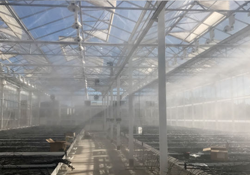 Fog System