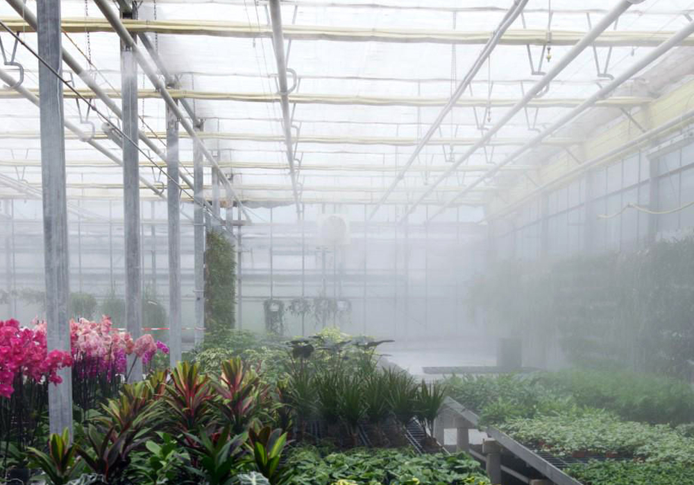 Fog System