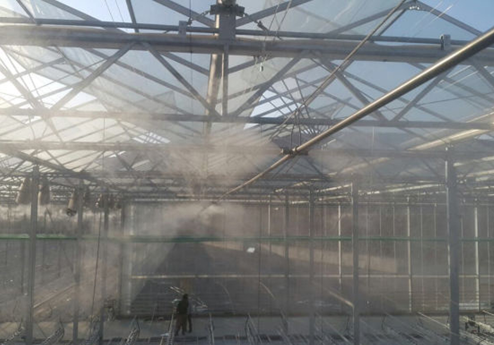 Fog System