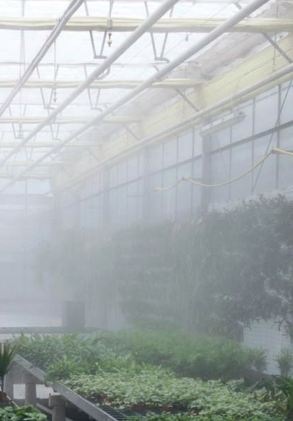Fog Sistemi