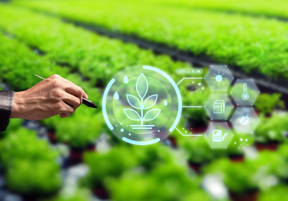 Akıllı Sera Sistemleri