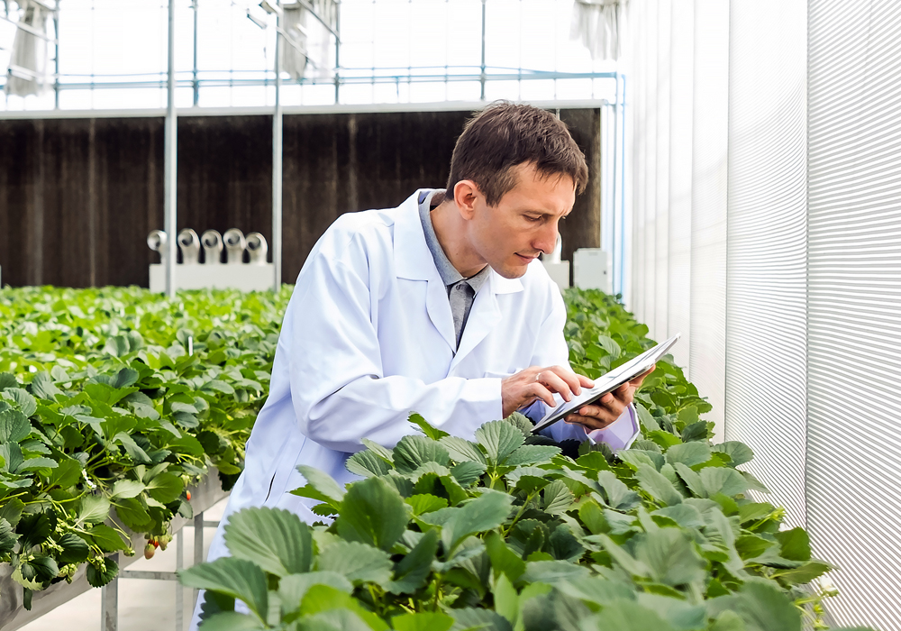 Teknik Destek & Kurulum